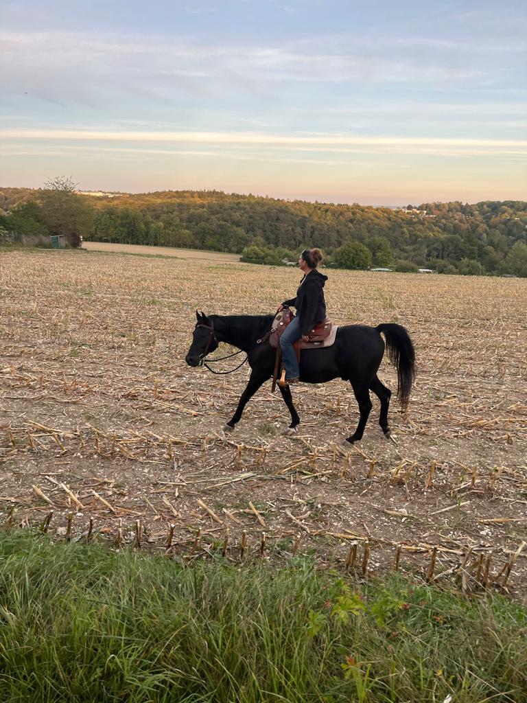 Susi Gharib ausreiten
